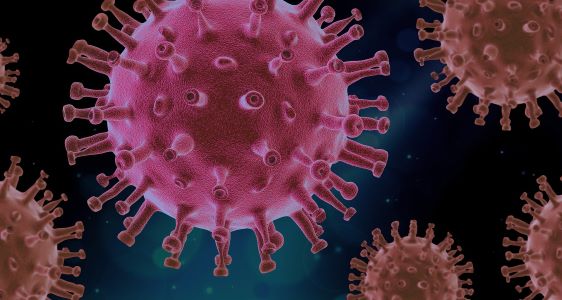Hrvati i Slovenci najpozitivniji u regiji glede razvoja situacije s epidemijom koronavirusa