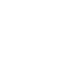 Valicon