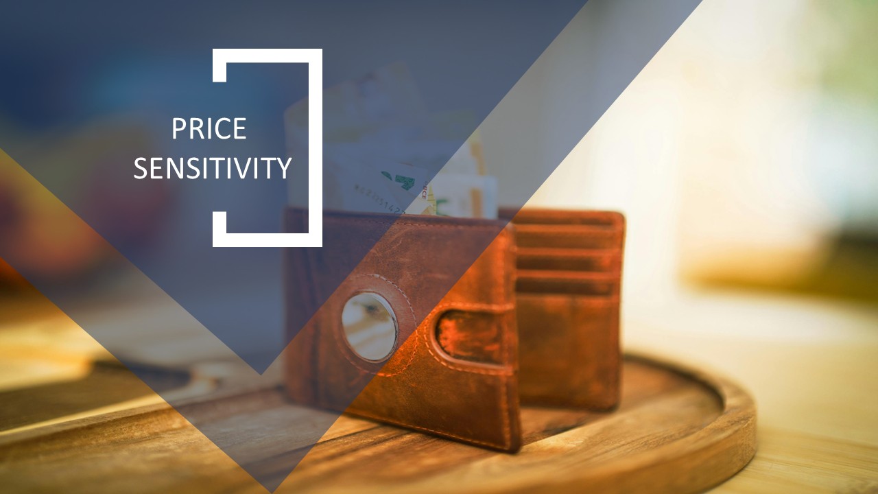 Price Sensitivity